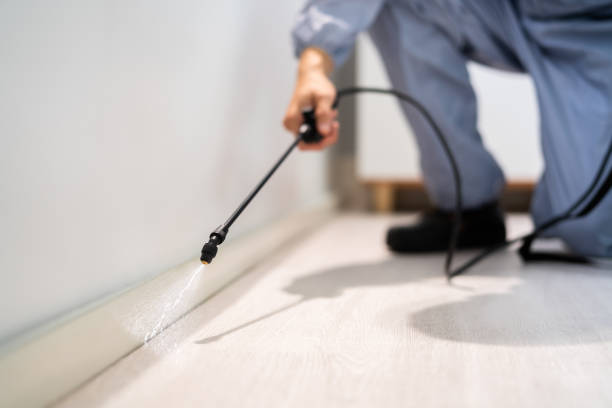 Licensed Termite Control service in Kane, PA - Nex Pest Control
