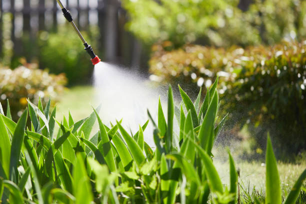 24/7 Emergency Termite Control experts in Kane, PA
